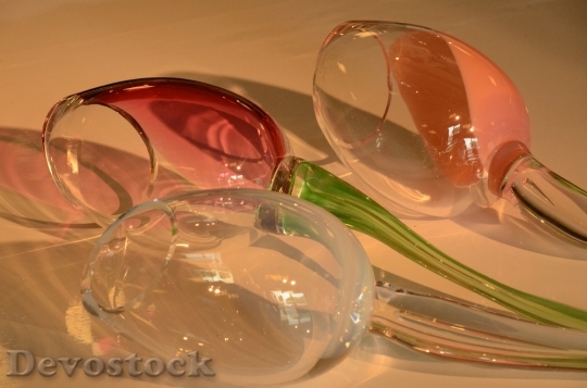 Devostock Glass Art Tulip 1423676