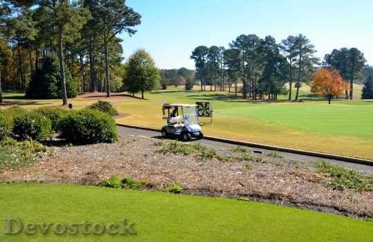Devostock Golf Course Golf Cart