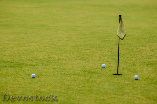 Devostock Golf Course Landscape Ball