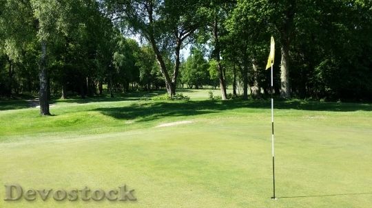 Devostock Golf Golf Course Green 12