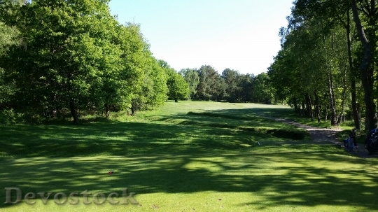 Devostock Golf Golf Course Green 16
