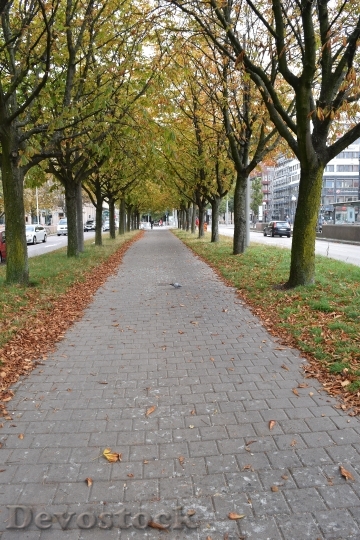 Devostock Gothenburg Autumn Street Walk