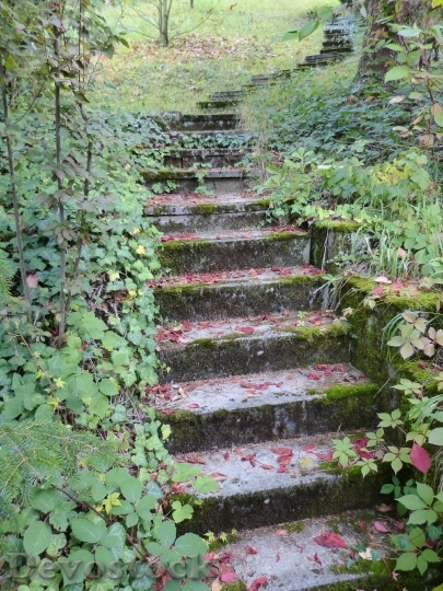 Devostock Gradually Stairs Stone Garden