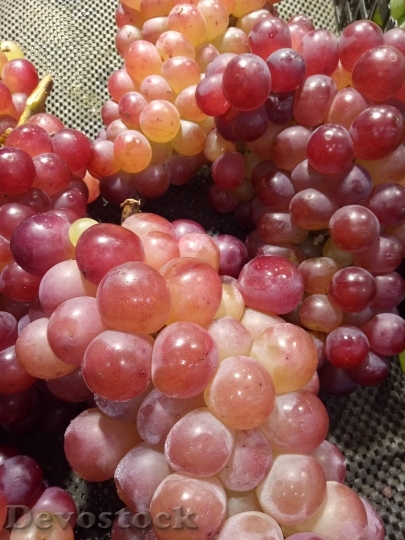 Devostock Grape Fruit Summer 1572252