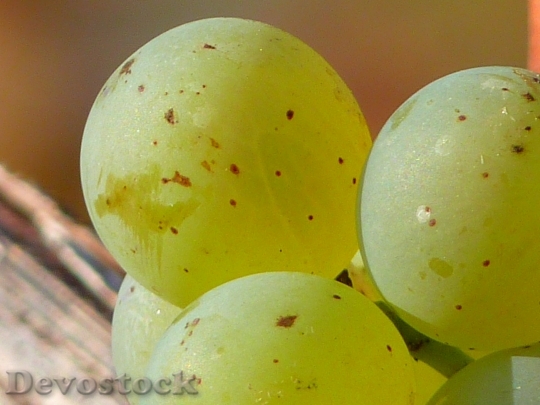 Devostock Grape Grapes Fruit Vine