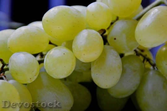 Devostock Grape Grapes Handle Vine