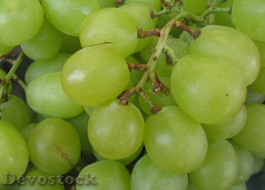Devostock Grape Green Fruit Fresh