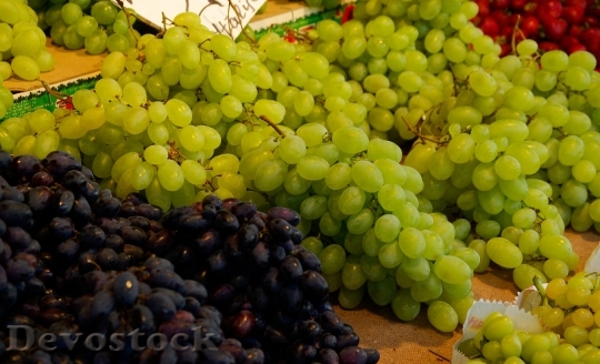 Devostock Grape Vine Fruit Cluster