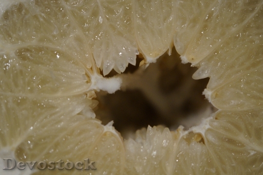 Devostock Grapefruit Inner Cave Cavity