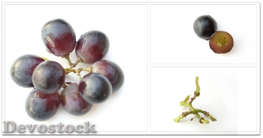Devostock Grapes