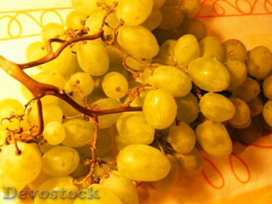 Devostock Grapes 4791921809