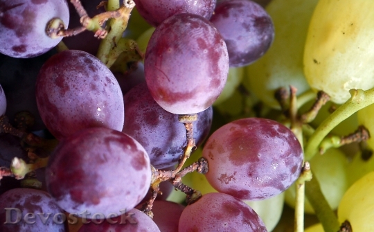 Devostock Grapes Bunch Food Fruit