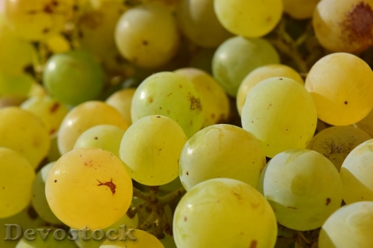 Devostock Grapes Close Fruit Healthy