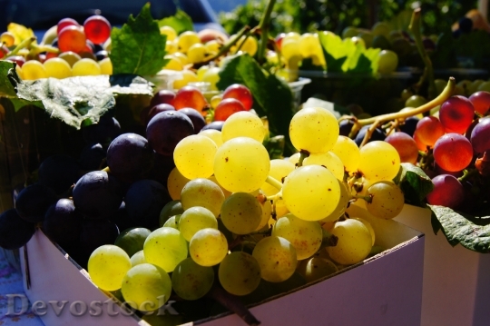 Devostock Grapes Fruit Colorful Wine