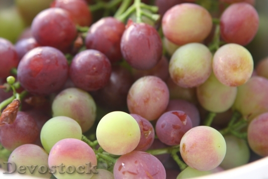 Devostock Grapes Fruit Fruit Bowl