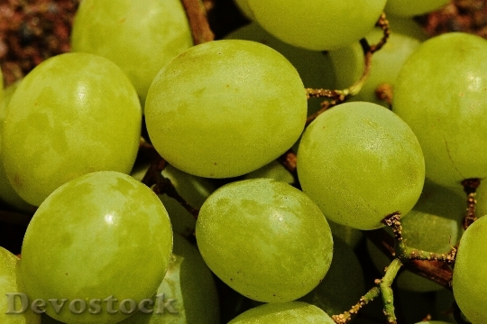 Devostock Grapes Fruit Table Grapes 1