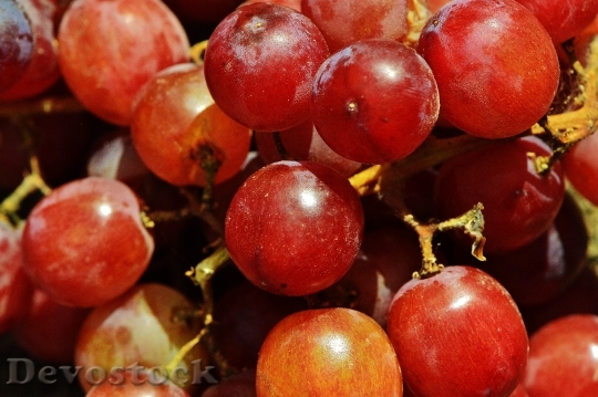 Devostock Grapes Fruit Table Grapes 2