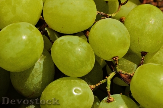 Devostock Grapes Fruit Table Grapes 3