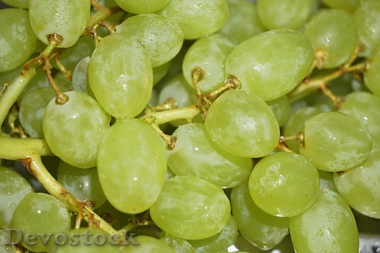 Devostock Grapes Fruit Vine Food 0