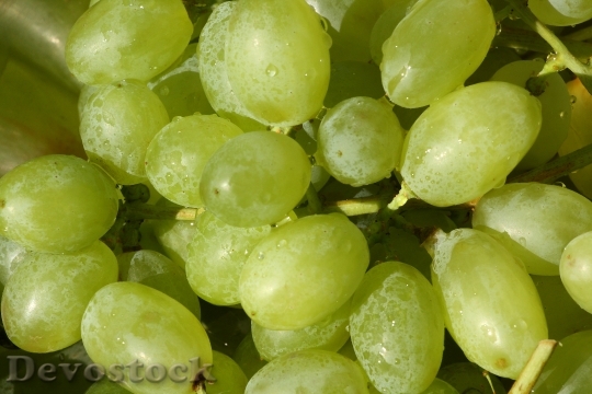 Devostock Grapes Fruit Wine Grapevine