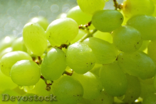 Devostock Grapes Fruits Healthy Fruit 0