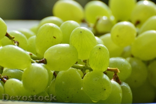 Devostock Grapes Fruits Healthy Fruit 1