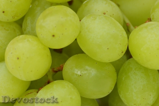 Devostock Grapes Fruits Healthy Fruit 13