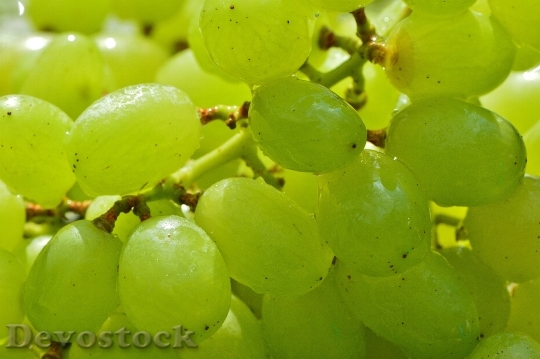 Devostock Grapes Fruits Healthy Fruit 2