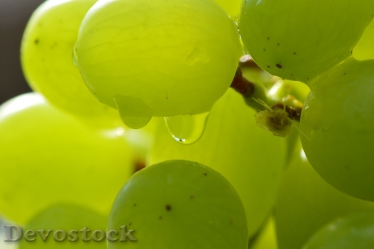 Devostock Grapes Fruits Healthy Fruit 3