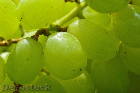 Devostock Grapes Fruits Healthy Fruit 4