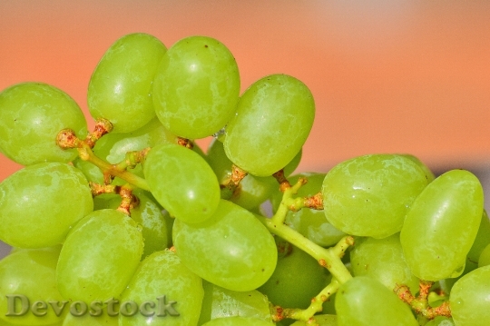 Devostock Grapes Fruits Healthy Fruit 5
