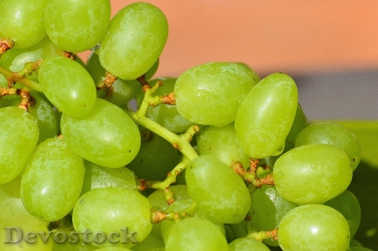 Devostock Grapes Fruits Healthy Fruit 6