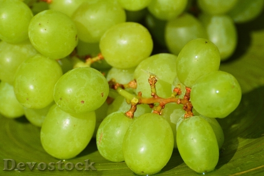 Devostock Grapes Fruits Healthy Fruit 9