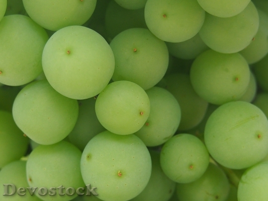 Devostock Grapes Green Wine Fruit