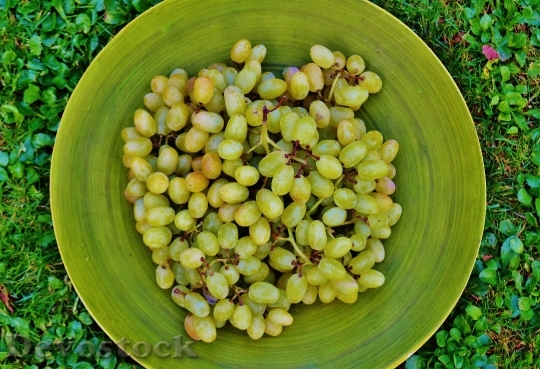 Devostock Grapes Plate Fruit Healthy