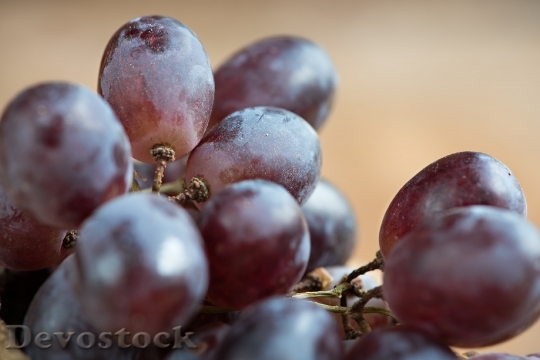Devostock Grapes Red Red Grapes