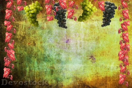 Devostock Grapes Wine Autumn Background