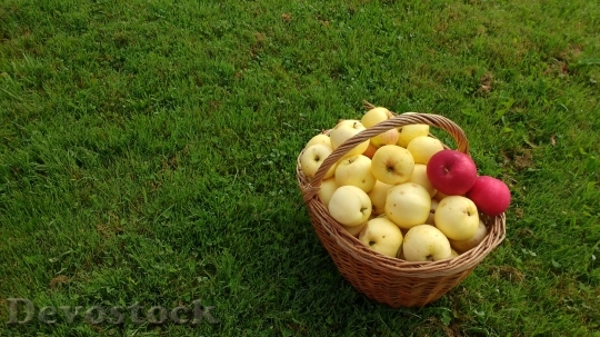 Devostock Grass Basket Apples Fruit