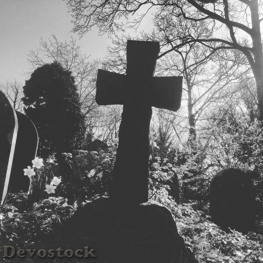 Devostock Graveyard Crucifix Halloween 1701203