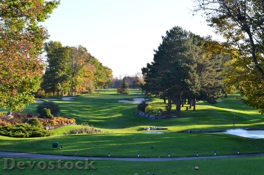 Devostock Green Golf Course Blue