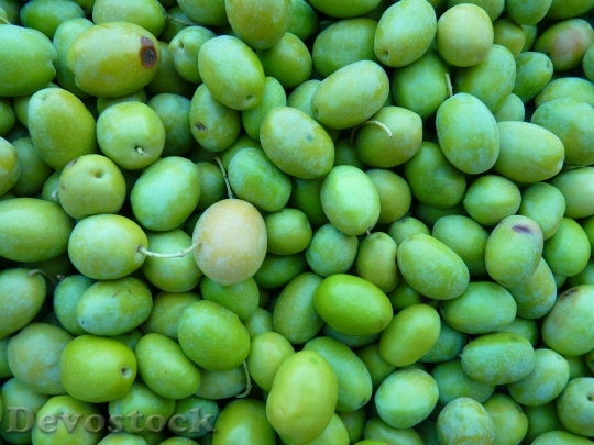 Devostock Green Olives Olives Immature