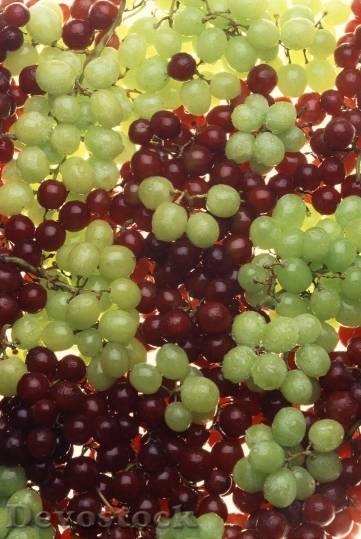 Devostock Green Red Grapes