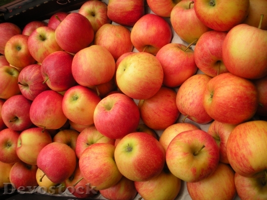 Devostock Greengrocer Fruit Crate Apples