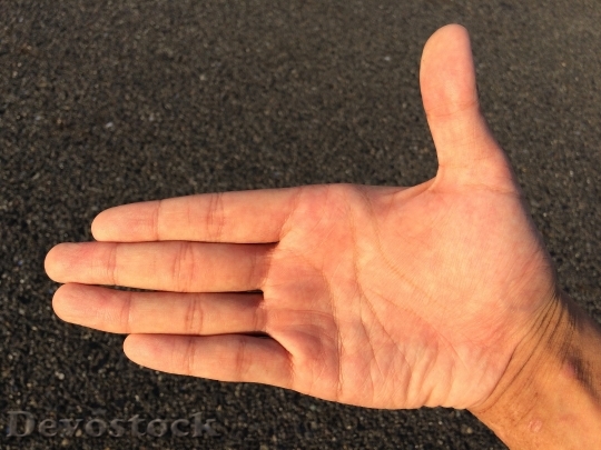 Devostock Hand Finger Skin Palm 0