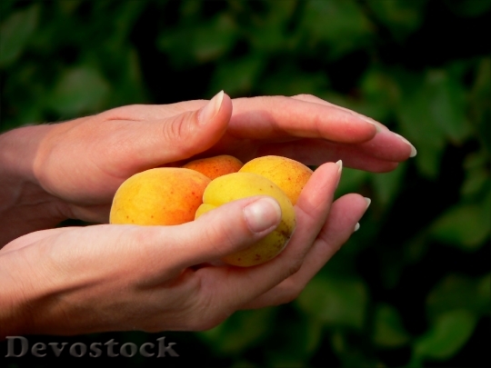 Devostock Hand Fruit Peaches Gift
