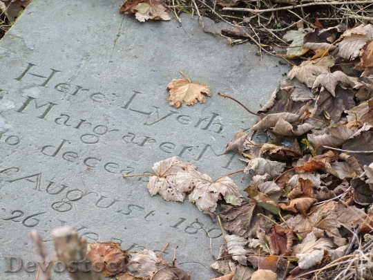 Devostock Headstone Cemetery Death Halloween