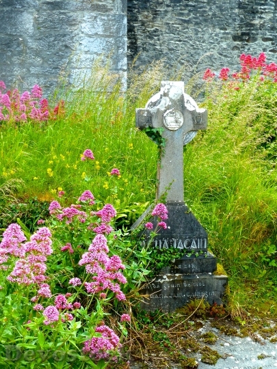 Devostock Headstone Cemetery Memorial 453154