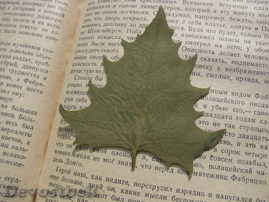 Devostock Herbarium Sheet Leaves Book