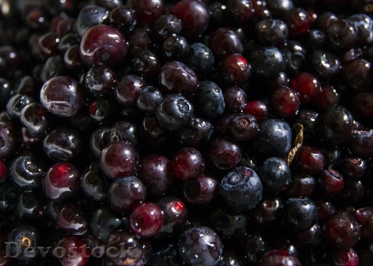 Devostock Huckleberries Fruit Tasty Edible