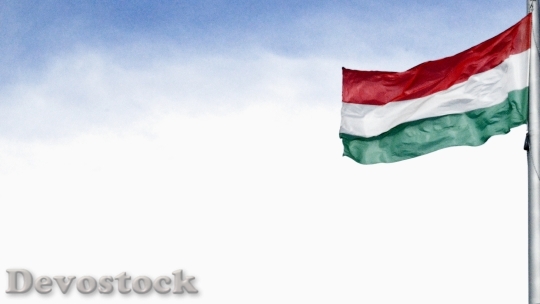 Devostock Hungarian Flag Freedom Love